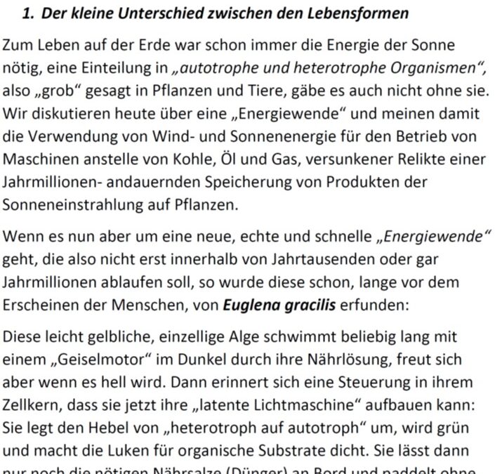 Die Wasserstoff-Energiewende