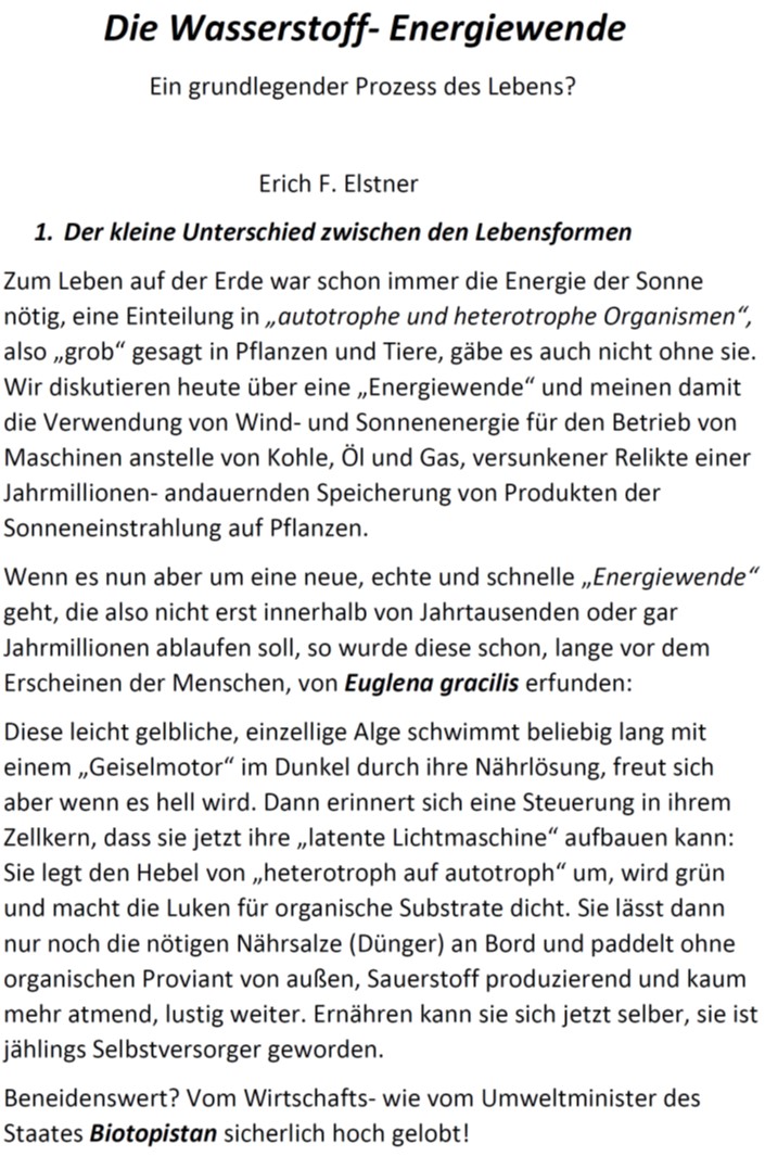 Die Wasserstoff-Energiewende